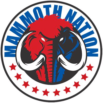 Mammoth nation products - Mammoth Nation is your trusted marketplace of fully-vetted American retailers that offer special deals on a variety of products. Your membership and purchases support our American rights and values, as provided by our Constitution.